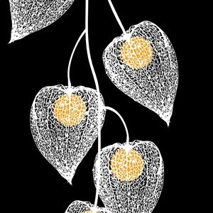 Meet your Posher, Nanette